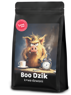 Boo Dzik