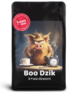 Boo Dzik