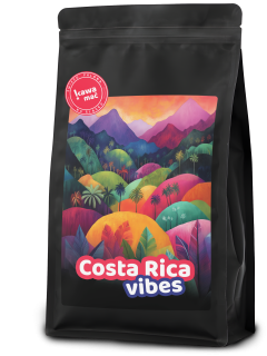 Costa Rica Vibes